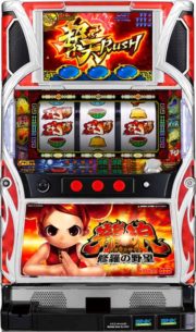 ドラゴンギャル～修羅の野望～筐体