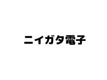 『ニイガタ電子精機』5号機全機種一覧