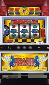 ペガサスNEO 筐体画像