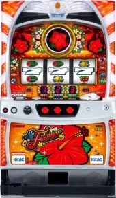 マイフラワー30 筐体画像
