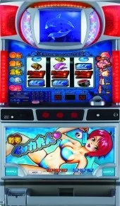 イルカ夫人 筐体画像
