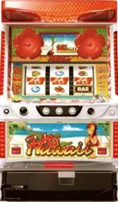 ハワイ 筐体画像